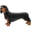 Picture of DACHSHUNDS 