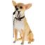 Picture of WALKIES CHIHUAHUA SITTING