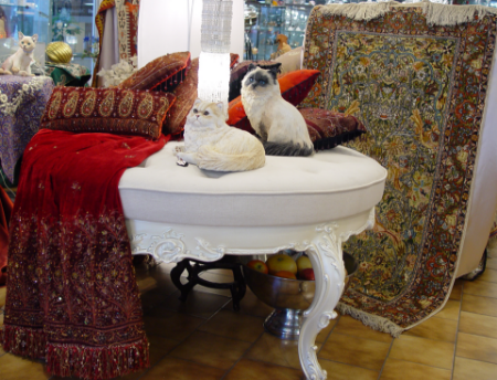 Picture for category Show Room 6