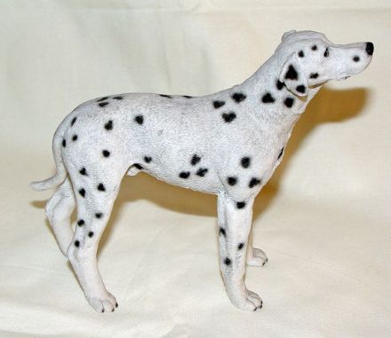 Picture of Dog - Dalmata