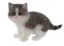 Picture of FIGURE RESIN CAT 